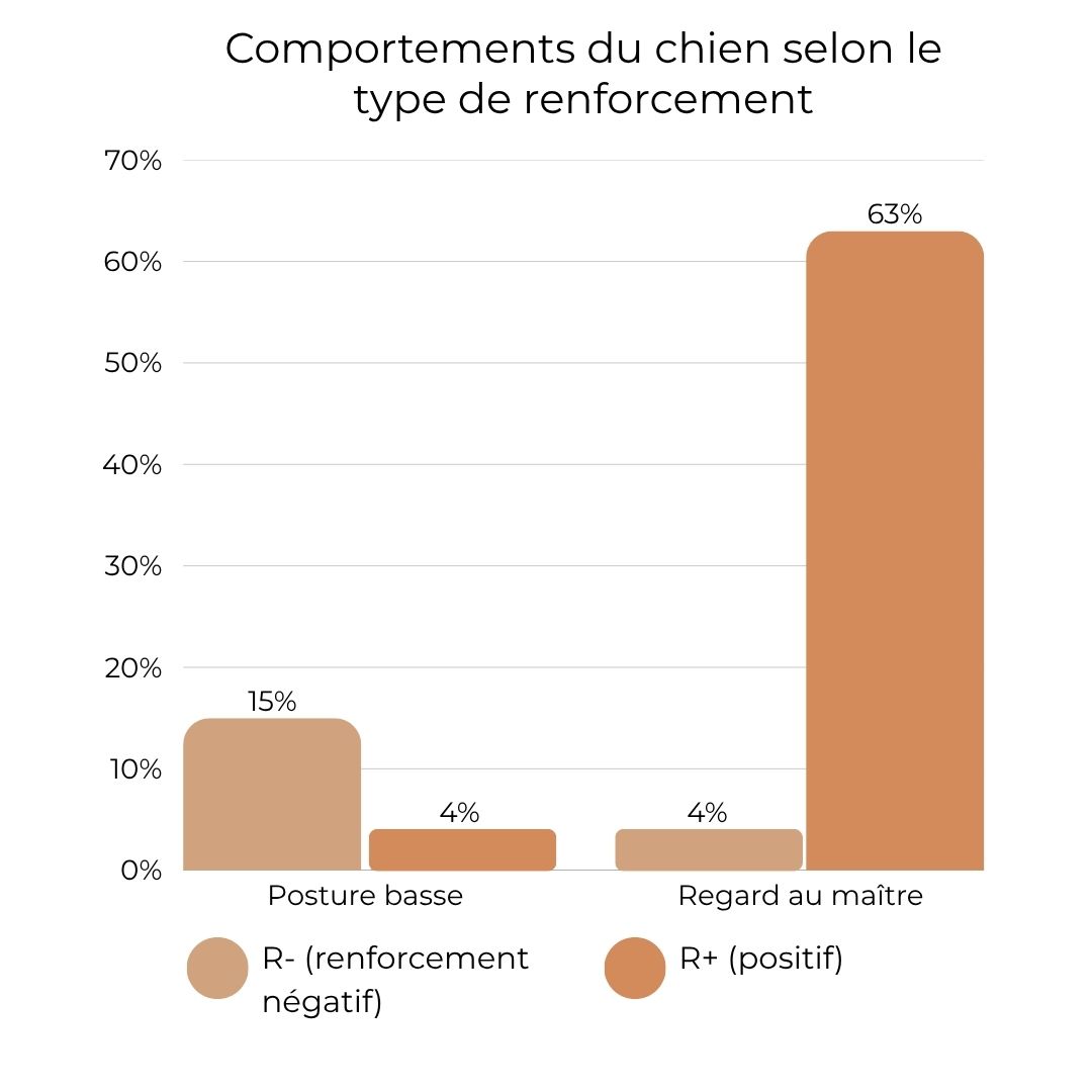 Comparaison du comportement du chien selon le type de renforcement utilisé